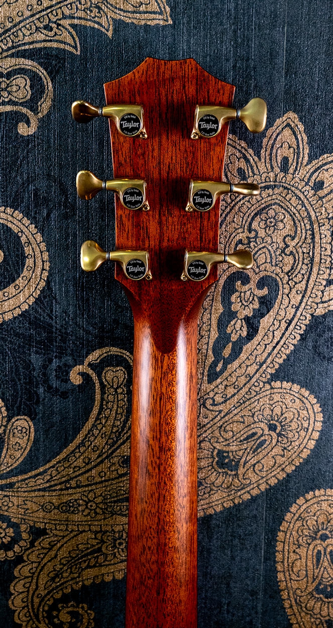 Taylor Builder's Edition 814ce LTD Macassar Adirondack