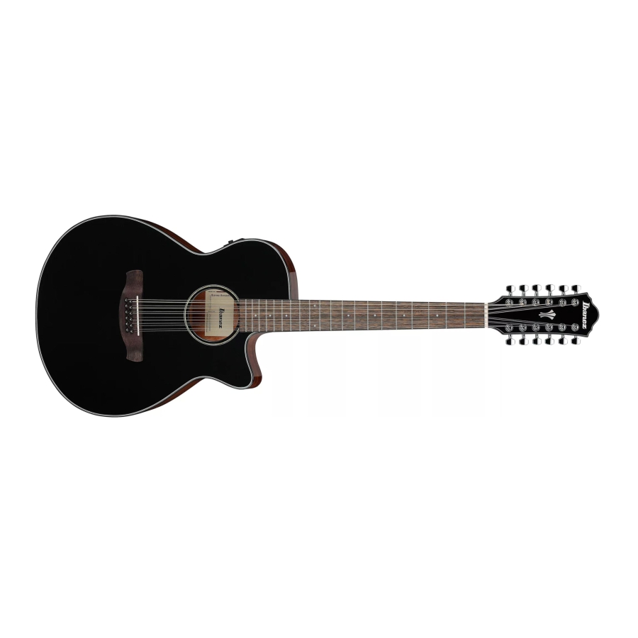 Ibanez AEG5012 BKH