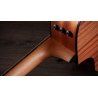 Taylor 112ce Special Edition Honeyburst