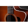 Taylor 214ce Special Edition Honeyburst