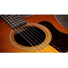 Taylor 214ce Special Edition Honeyburst