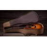 Taylor 214ce Special Edition Honeyburst