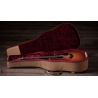 Taylor 354ce Studio Special Edition Honeyburst