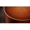 Taylor 354ce Studio Special Edition Honeyburst