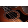 Taylor 354ce Studio Special Edition Honeyburst