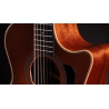 Taylor 354ce Studio Special Edition Honeyburst
