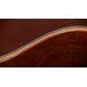 Taylor 354ce Studio Special Edition Honeyburst