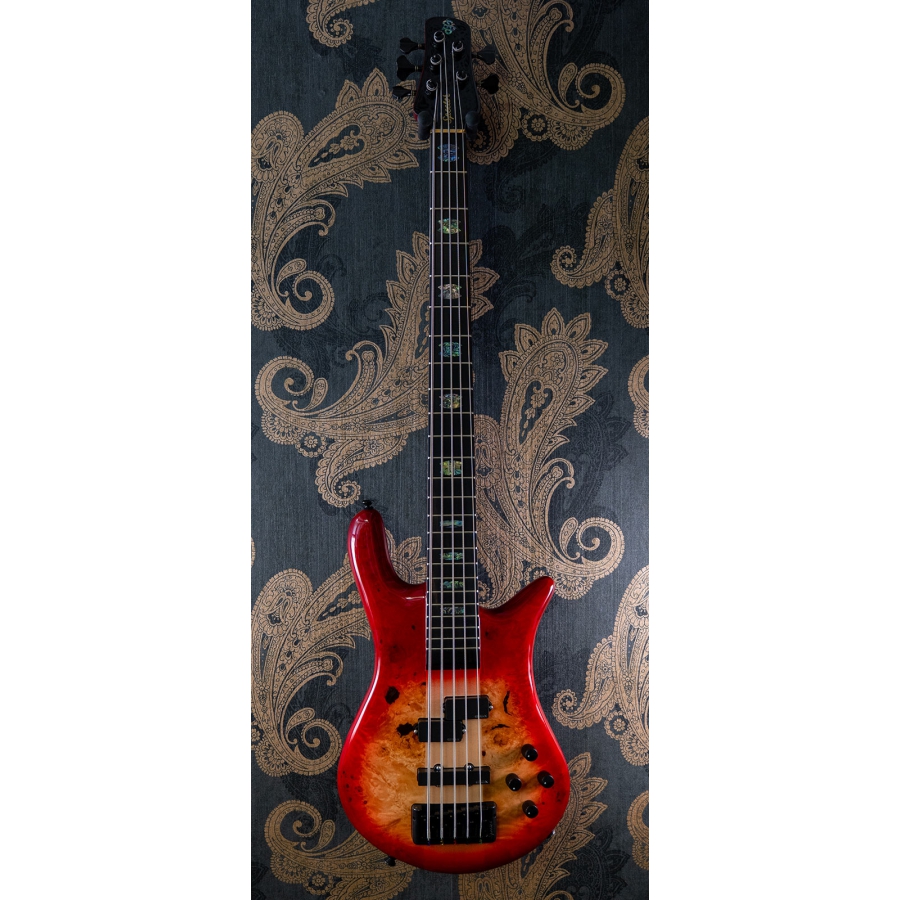 Spector Euro CST 5 Natural Red Burst Gloss