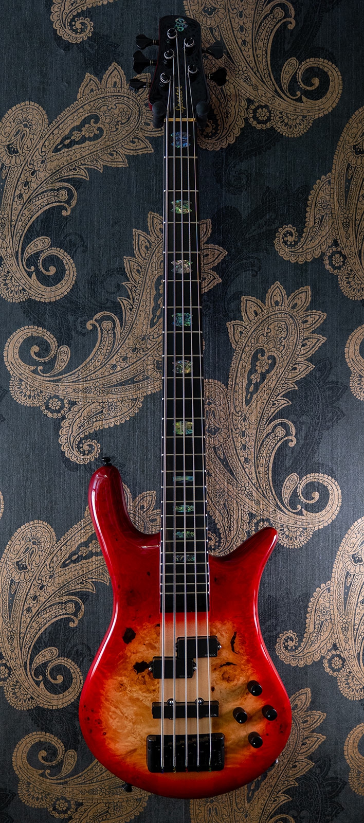 Spector Euro CST 5 Natural Red Burst Gloss