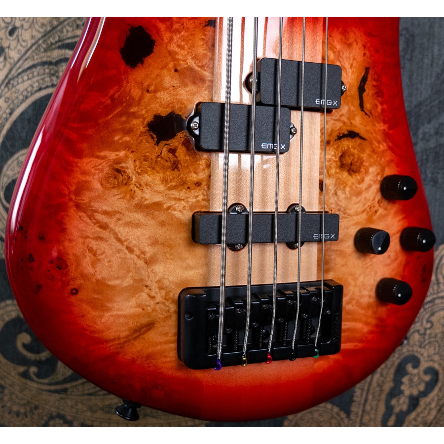 Spector Euro CST 5 Natural Red Burst Gloss