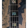 Spector Euro CST 5 Natural Red Burst Gloss