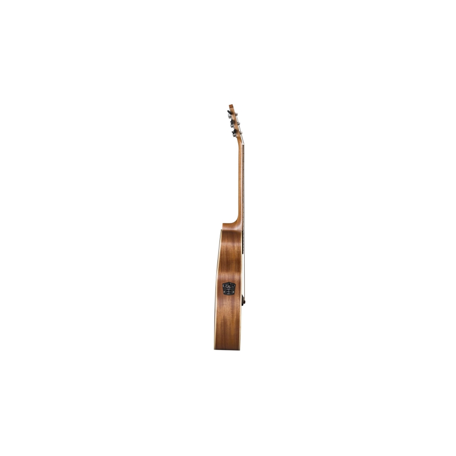Baton Rouge AR81C ACEC-N