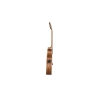 Baton Rouge AR81C ACEC-N
