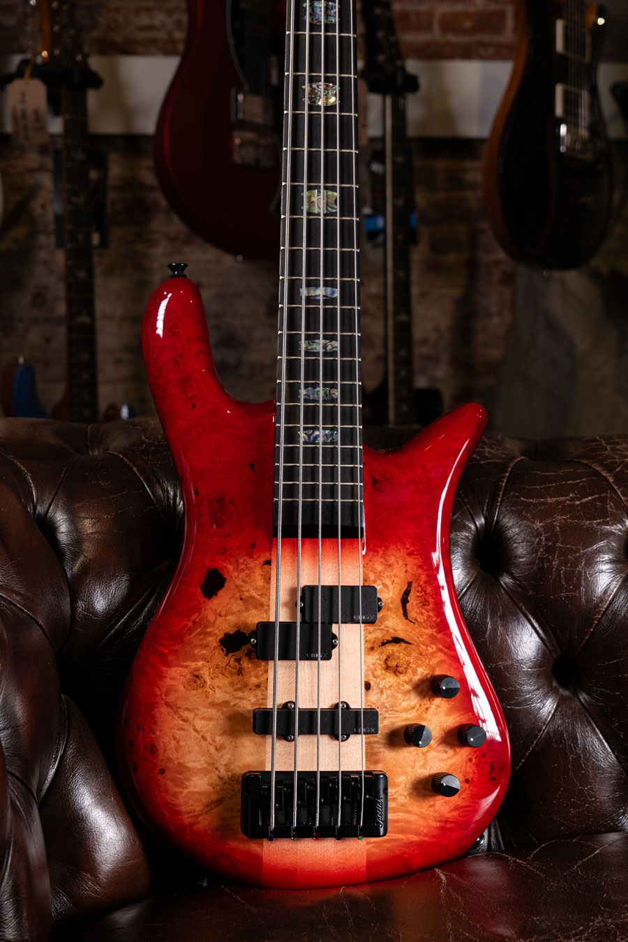 Spector Euro CST 5 Natural Red Burst Gloss