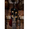 Spector Euro 4 CST Natural Black Burst Gloss