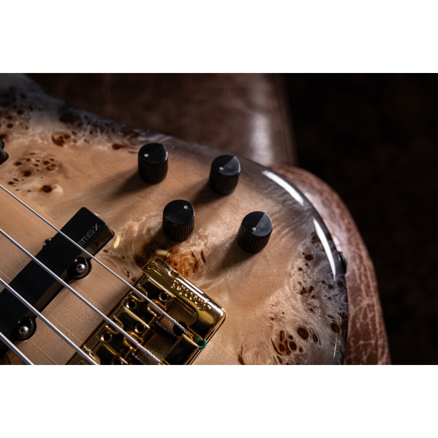 Spector Euro 4 CST Natural Black Burst Gloss