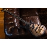 Spector Euro 4 CST Natural Black Burst Gloss