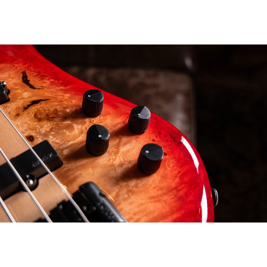 Spector Euro CST 5 Natural Red Burst Gloss