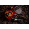 Spector Euro CST 5 Natural Red Burst Gloss