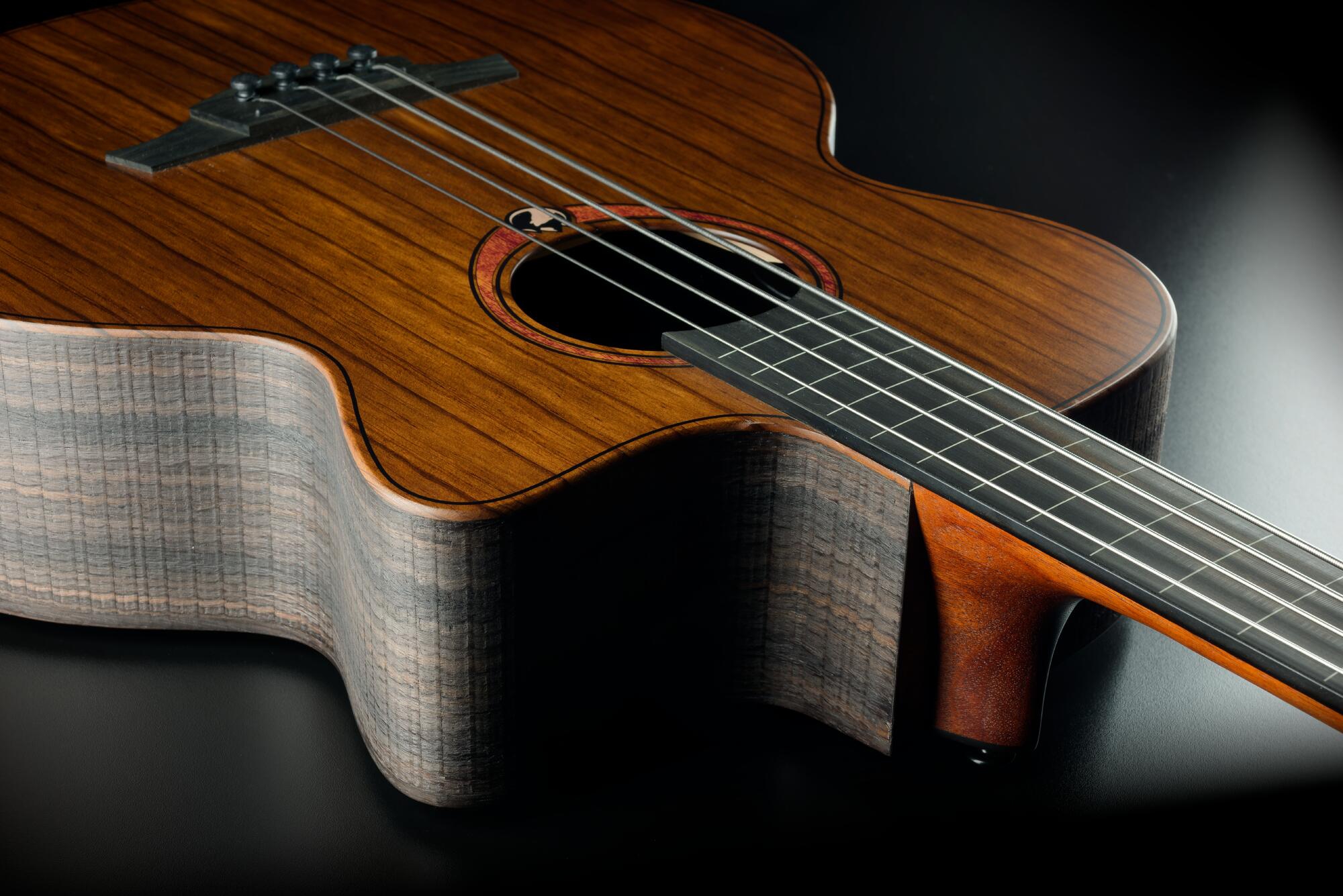 LAG SAUVAGE FBCE Fretless bass