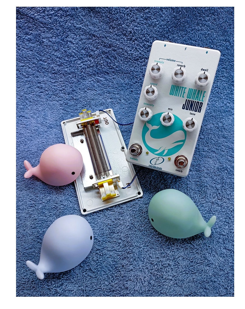 Crazy Tube Circuits White Whale Junior