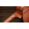 Taylor 117e Special Edition Dark Tobacco