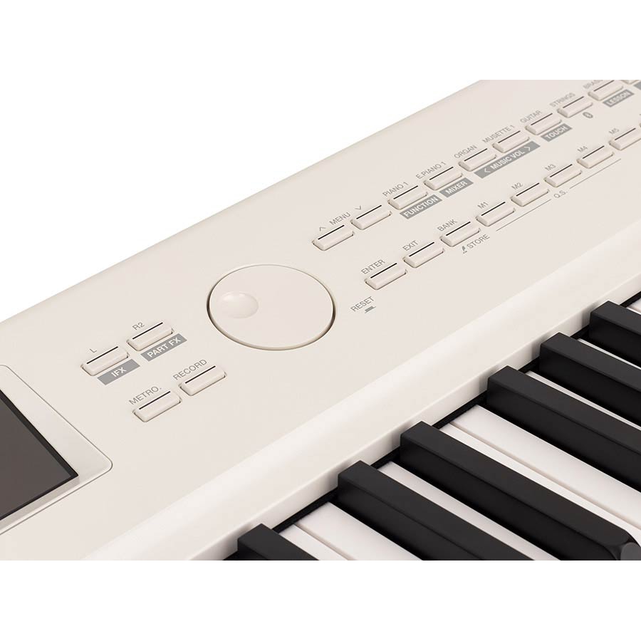 Medeli SP-A500WH White Stage Piano