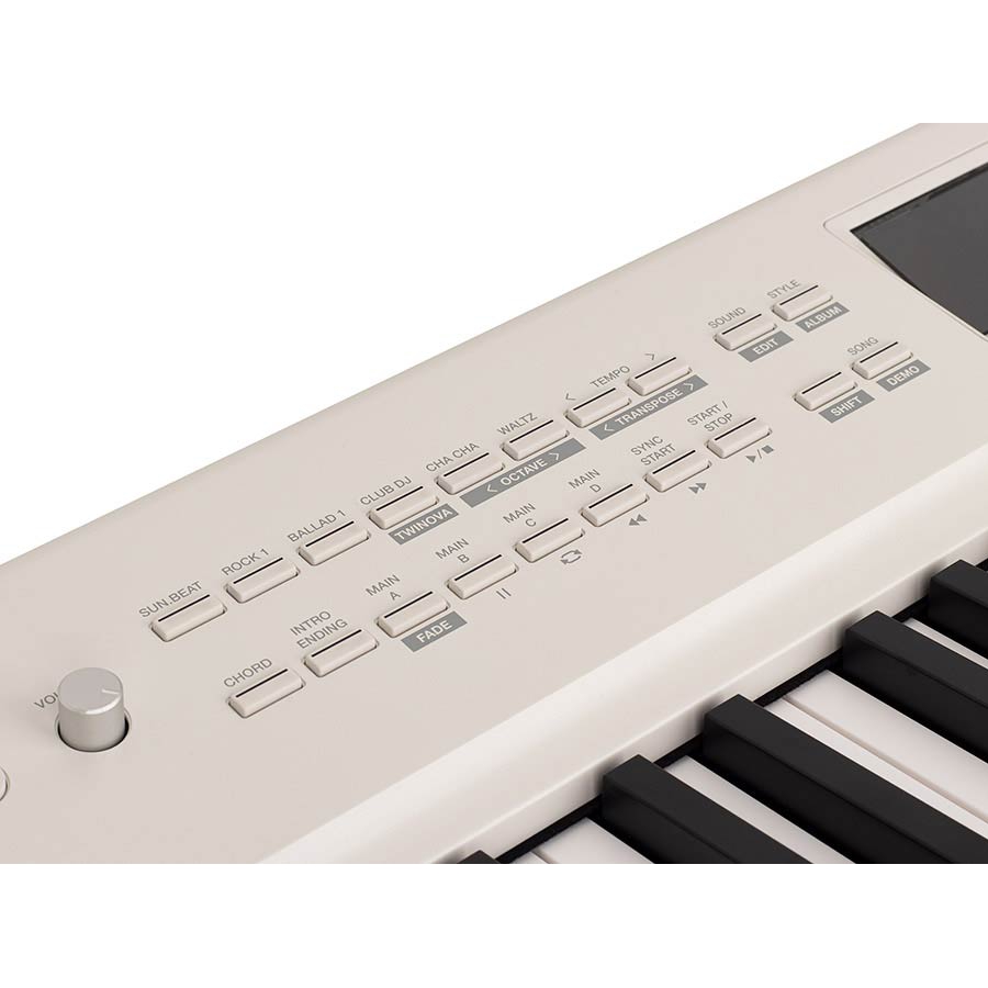 Medeli SP-A500WH White Stage Piano
