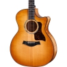 Taylor Next Generation 614ce Big Leaf Maple