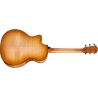 Taylor Next Generation 614ce Big Leaf Maple