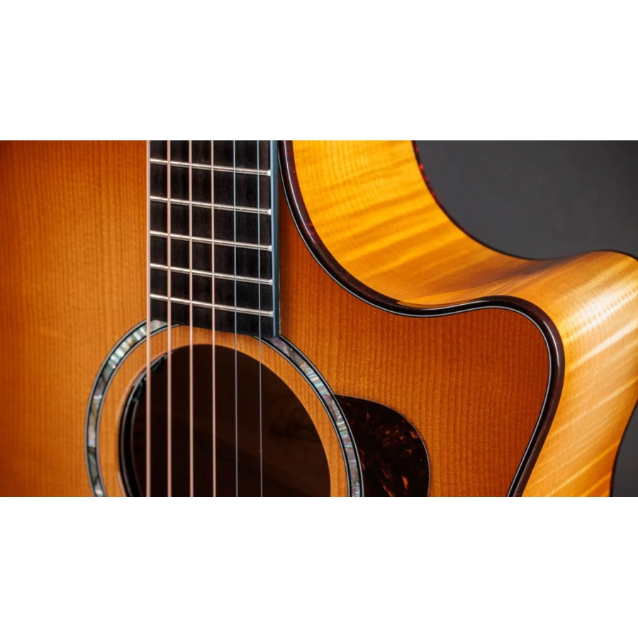 Taylor Next Generation 614ce Big Leaf Maple