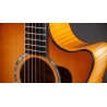 Taylor Next Generation 614ce Big Leaf Maple