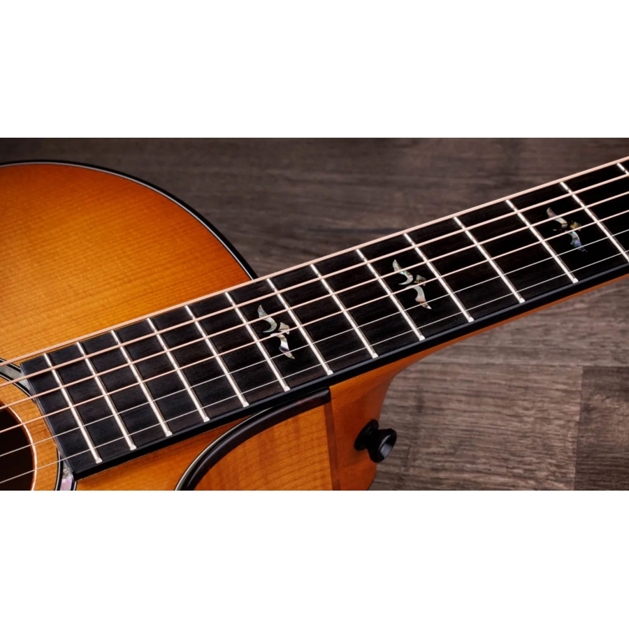 Taylor Next Generation 614ce Big Leaf Maple