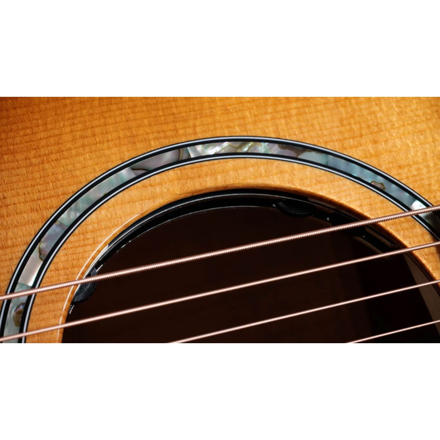 Taylor Next Generation 614ce Big Leaf Maple