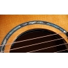 Taylor Next Generation 614ce Big Leaf Maple