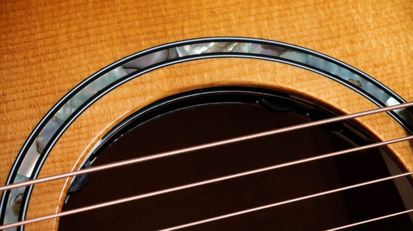 Taylor Next Generation 614ce Big Leaf Maple