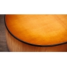 Taylor Next Generation 614ce Big Leaf Maple