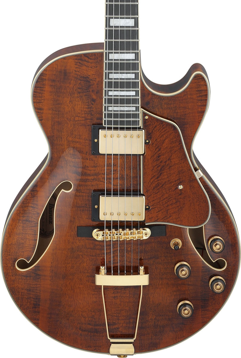 Ibanez AG95MG DA Dark Amber