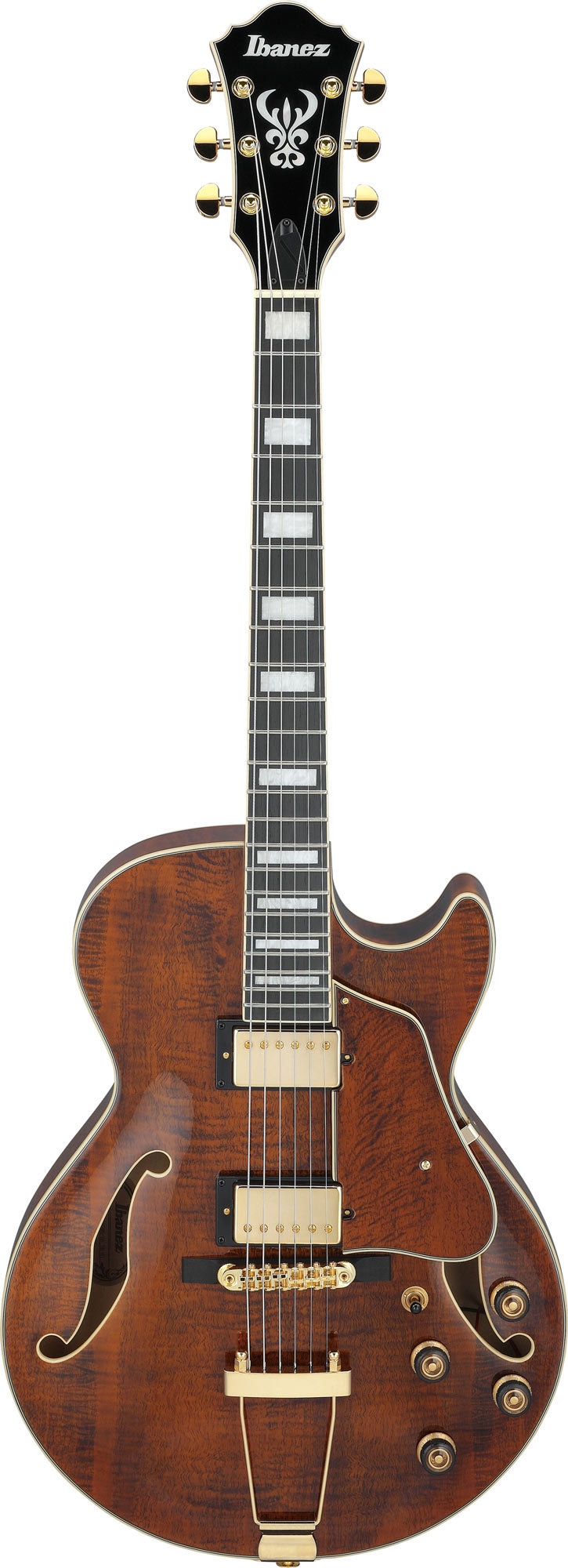 Ibanez AG95MG DA Dark Amber