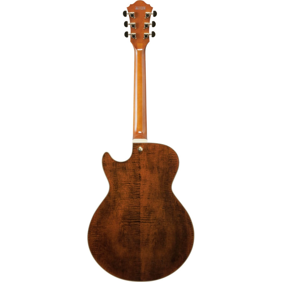 Ibanez AG95MG DA Dark Amber