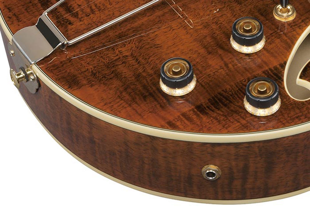 Ibanez AG95MG DA Dark Amber
