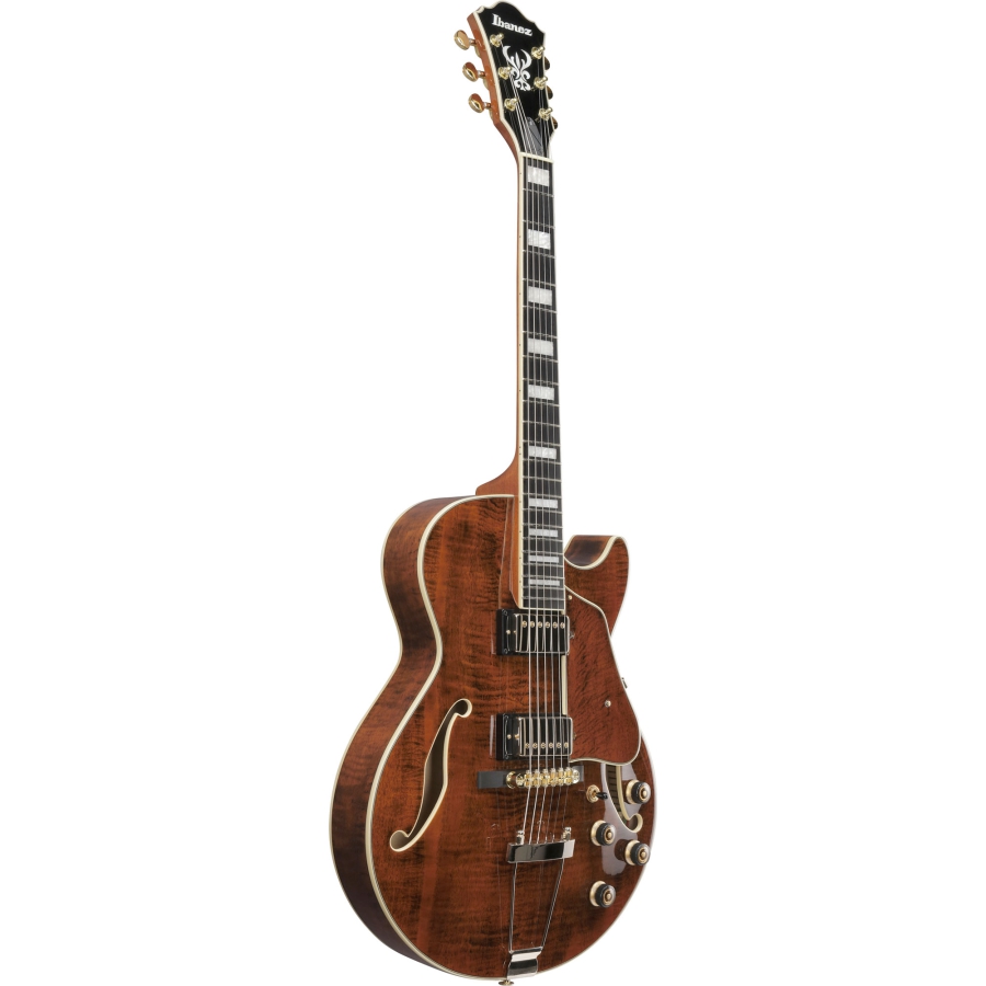 Ibanez AG95MG DA Dark Amber