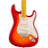 Fender American Professional Stratocaster MN ACB