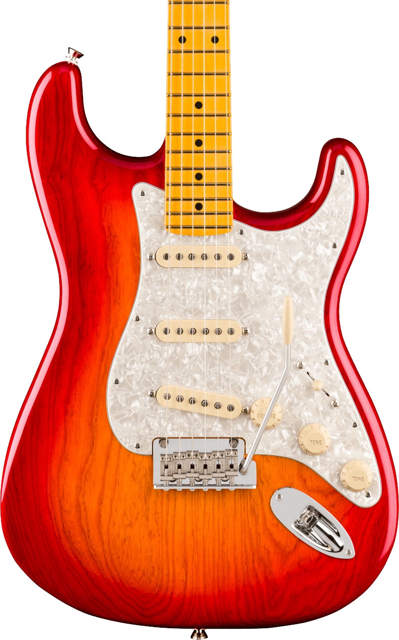 Fender American Professional Stratocaster MN ACB