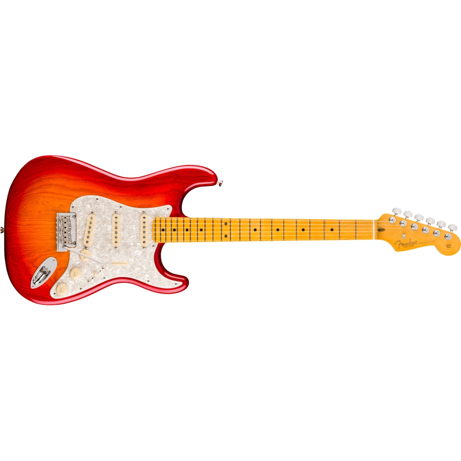 Fender American Professional Stratocaster MN ACB