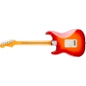 Fender American Professional Stratocaster MN ACB
