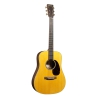 Martin DJRE Walnut dreadnought Junior