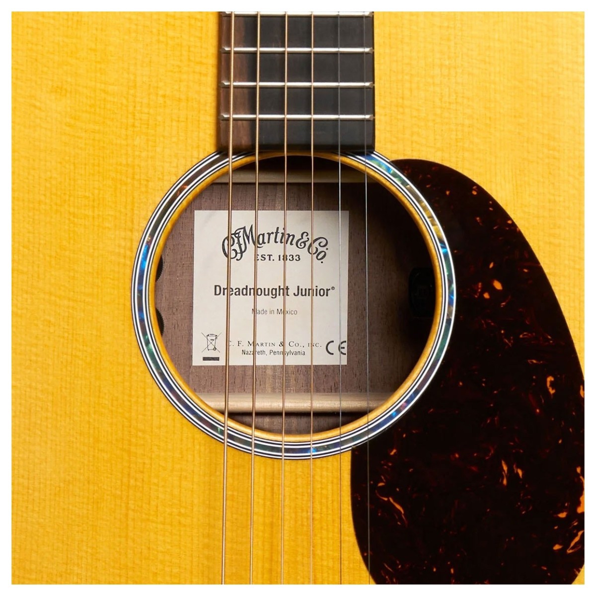 Martin DJRE Walnut dreadnought Junior