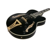 Ibanez PM3C BKL Pat Metheny