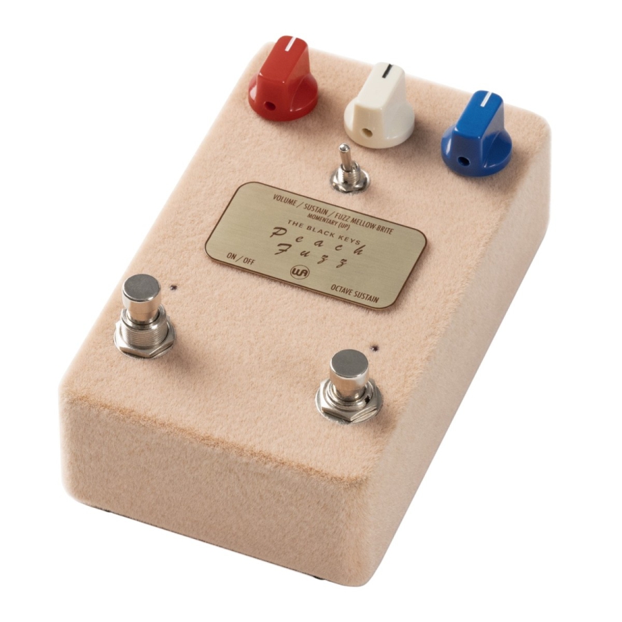 Warm Audio Peach Fuzz